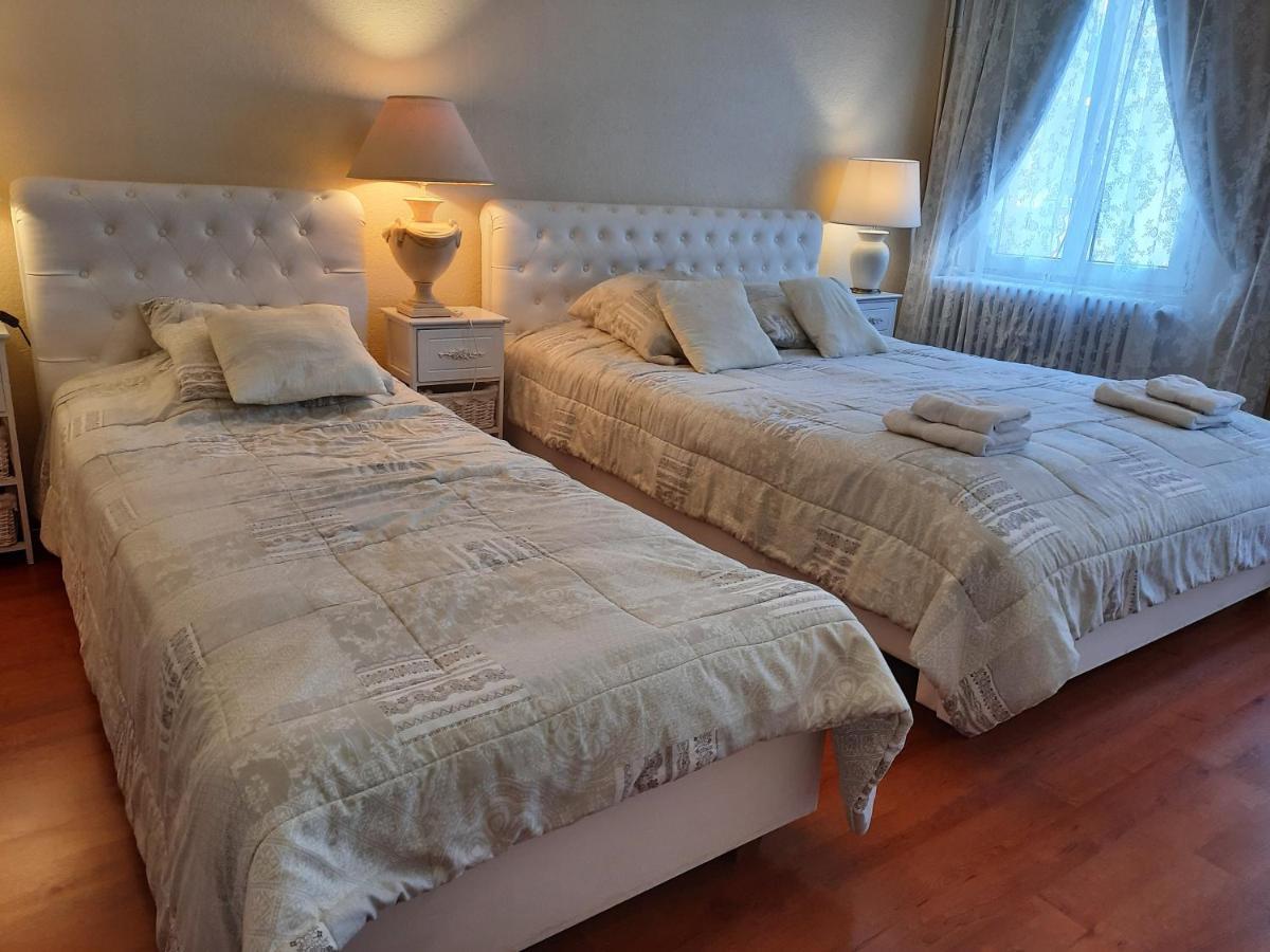 Apartments Center Colmar 5 Dış mekan fotoğraf